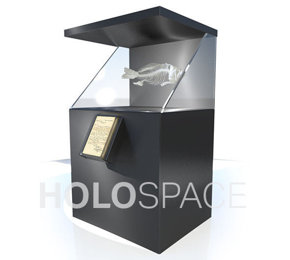 Museum HoloCase Museum HoloCase